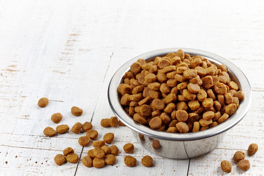 Nourriture pour animaux