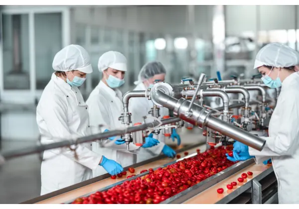 Production agroalimentaire